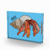 Afbeelding van de cartoon van Hermit crab Fotoblokken (Rechts)