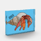 Afbeelding van de cartoon van Hermit crab Fotoblokken (Links)