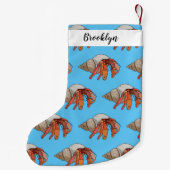 Afbeelding van de cartoon van Hermit crab Kleine Kerstsok (Achterkant)