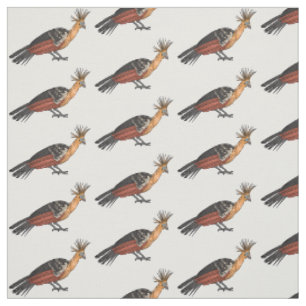 Afbeelding van de cartoon van hoatzin stof
