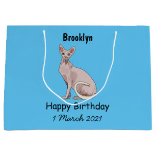 Afbeelding van de cartoon van sphynx-katten groot cadeauzakje