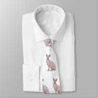 Afbeelding van de cartoon van sphynx-katten