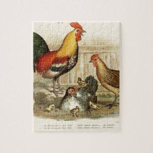  afbeelding van de Chicken-familie Legpuzzel