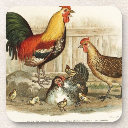  afbeelding van de Chicken-familie Onderzetter (Voorkant)