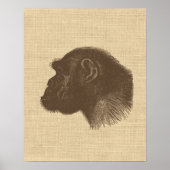 afbeelding van de chimpansee op schoot poster (Voorkant)