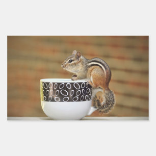 Afbeelding van de Chipmunk met de Latte Coffee Cup Rechthoekige Sticker