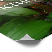 Afbeelding van de geest wijsdom greenery poster (Hoek)