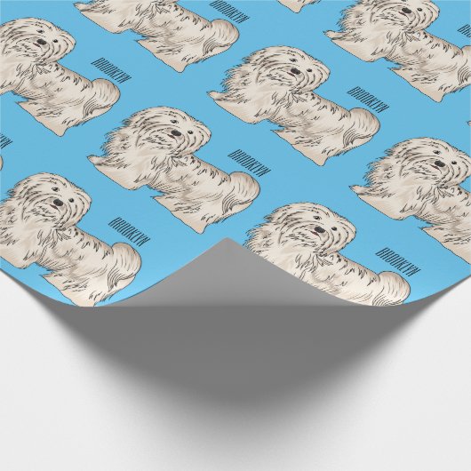 Afbeelding van de Havanese cartoon Cadeaupapier (Hoek)