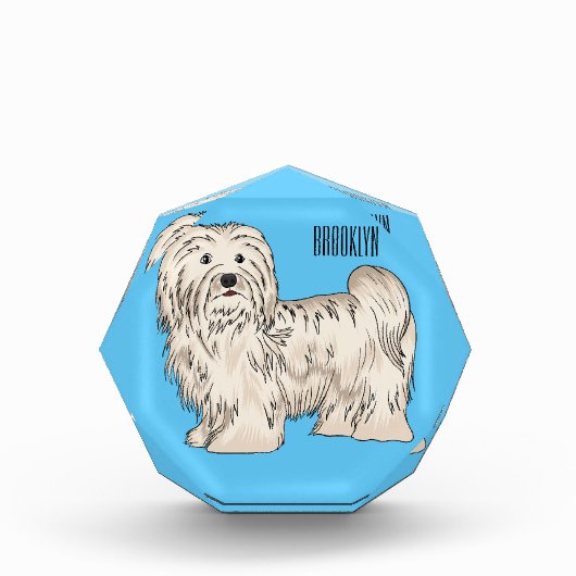 Afbeelding van de Havanese cartoon Fotoblokken (Voorkant)
