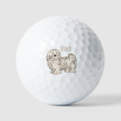 Afbeelding van de Havanese cartoon Golfballen (Voorkant)