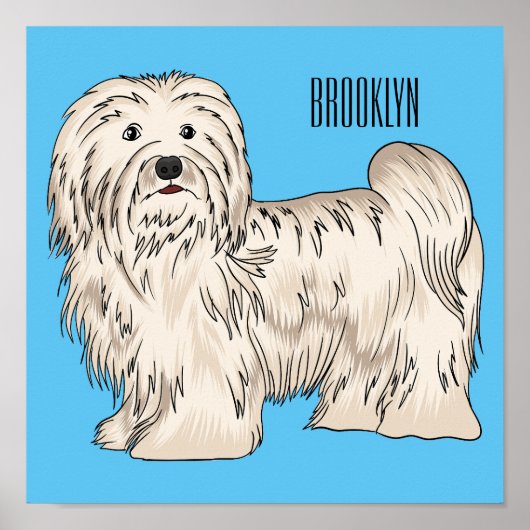 Afbeelding van de Havanese cartoon Poster (Voorkant)