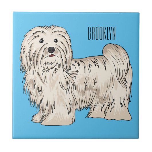 Afbeelding van de Havanese cartoon Tegeltje (Voorkant)