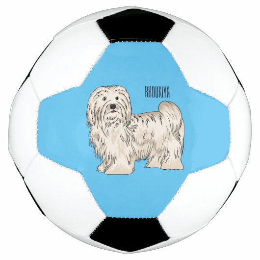 Afbeelding van de Havanese cartoon Voetbal (Voorkant)