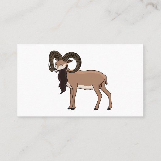 Afbeelding van de Mouflon-geit Visitekaartje (Achterkant)