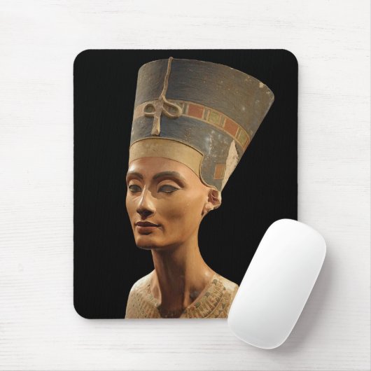 Afbeelding van de neushoorn in het Museum van Neue Muismat (Met muis)