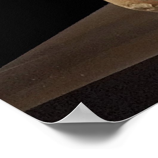 Afbeelding van de neushoorn in het Museum van Neue Poster (Hoek)