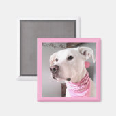 Afbeelding van de paarse puppy dog met roze zout magneet (Voorkant / Achterkant)