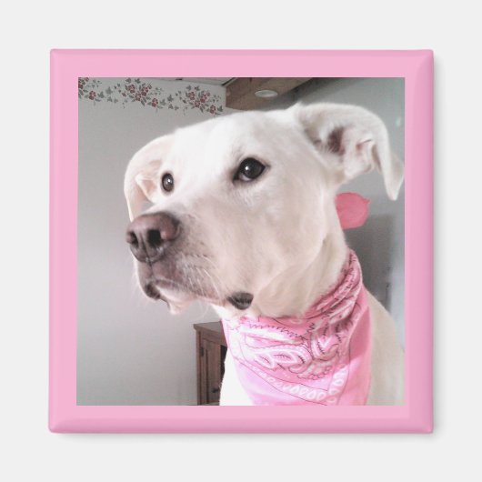 Afbeelding van de paarse puppy dog met roze zout magneet (Voorkant)