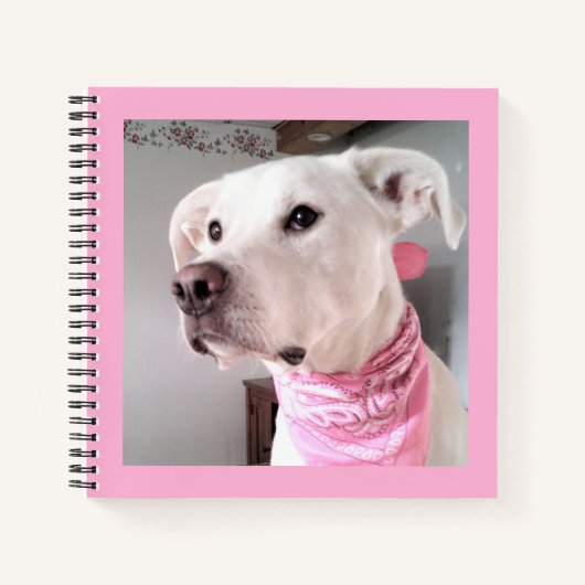 Afbeelding van de paarse puppy dog met roze zout notitieboek (Voorkant)