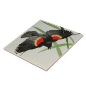 Afbeelding van de Rode-Winged Blackbird van Fuerte Tegeltje (Zijkant)