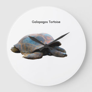 Afbeelding van de schildpad voor een ronde muur grote klok