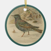  afbeelding van de spreeuw keramisch ornament (Voorkant)