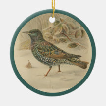  afbeelding van de spreeuw