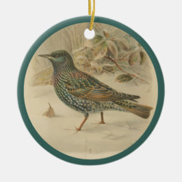  afbeelding van de spreeuw keramisch ornament