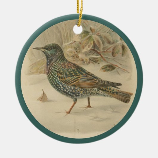  afbeelding van de spreeuw keramisch ornament (Voorkant)