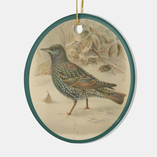 afbeelding van de spreeuw keramisch ornament (Links)