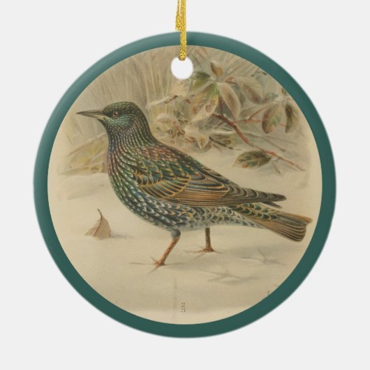  afbeelding van de spreeuw keramisch ornament (Achterkant)