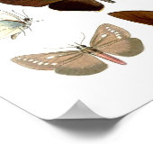 Afbeelding van de vlinder 7. Afdruk natuurlijke ge Poster (Hoek)