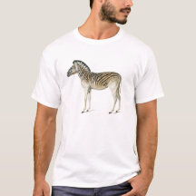  afbeelding van de zebra in de bergen