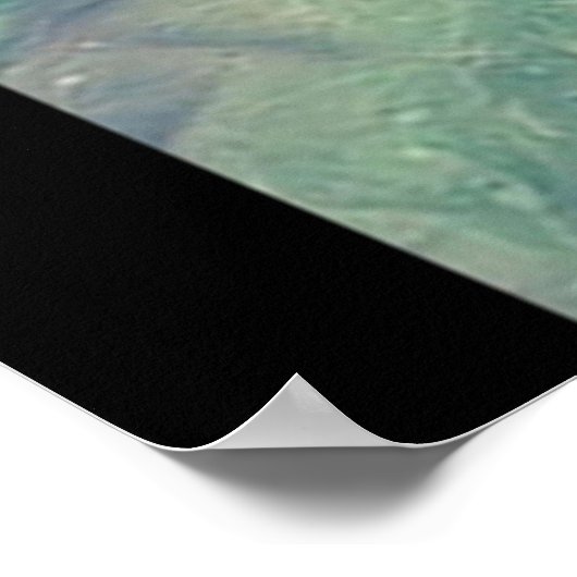 Afbeelding van dragon Fire Starflight Poster (Hoek)