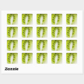 Afbeelding van drie open erwten, extreme close-up vierkante sticker (Vel)