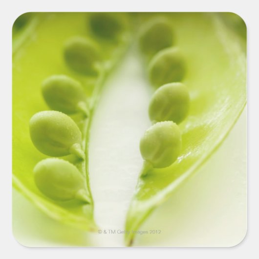 Afbeelding van drie open erwten, extreme close-up vierkante sticker (Voorkant)