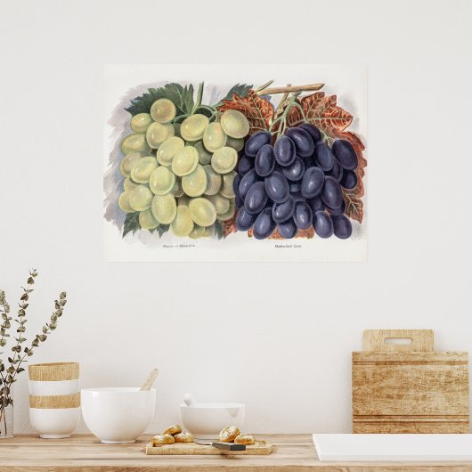 afbeelding van druiven poster (Keuken)