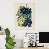  afbeelding van druiven poster (Thuiskantoor)