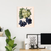  afbeelding van druiven poster (Thuiskantoor)