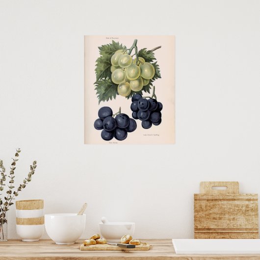 afbeelding van druiven poster (Keuken)