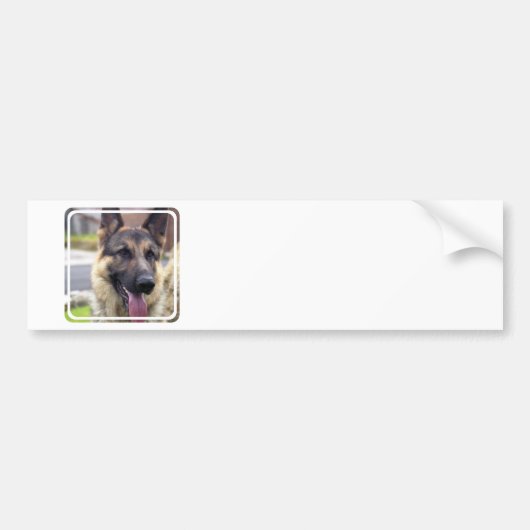Afbeelding van Duitse Bumperstickers van schapen (Voorkant)