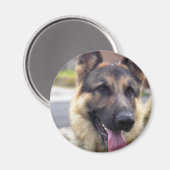 Afbeelding van Duitse Herder Magnet (Voorkant / Achterkant)
