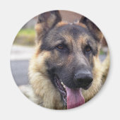 Afbeelding van Duitse Herder Magnet (Voorkant)