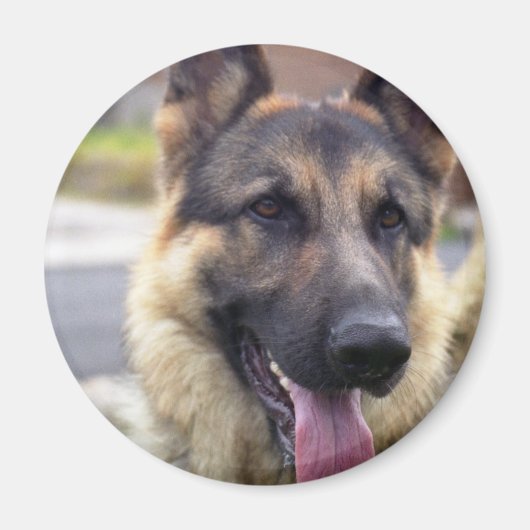 Afbeelding van Duitse Herder Magnet (Voorkant)