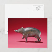 Afbeelding van een Boar Briefkaart (Voorkant / Achterkant)