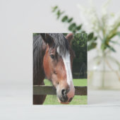 Afbeelding van een Briefkaart met kwartpaarden (Staand voorkant)