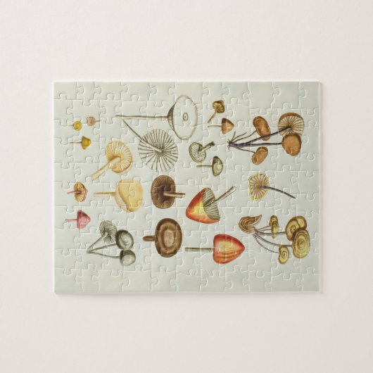  afbeelding van een collectie paddenstoelen legpuzzel (Horizontaal)