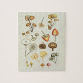  afbeelding van een collectie paddenstoelen legpuzzel (Verticaal)