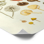  afbeelding van een collectie paddenstoelen poster (Hoek)
