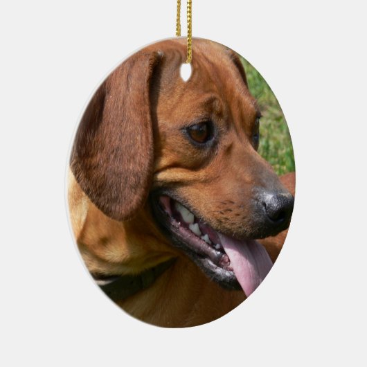 Afbeelding van een Dachshund Ornament (Rechts)